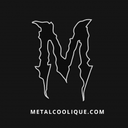 Métalcoolique