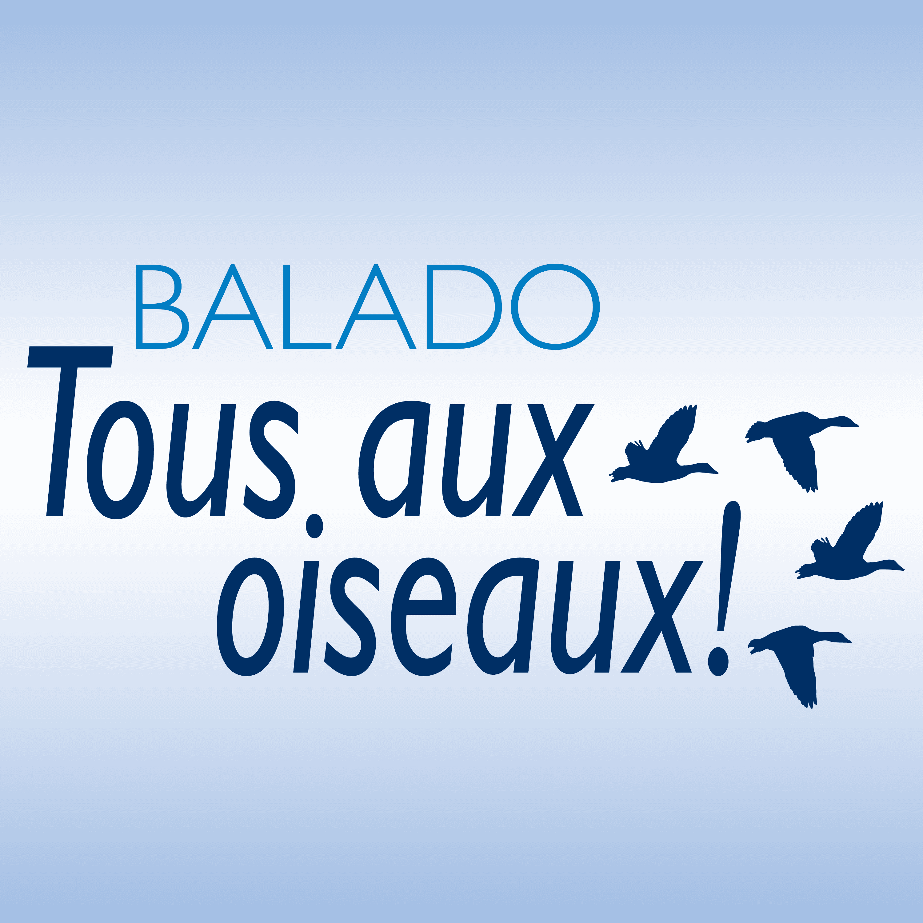 Tous aux oiseaux! 