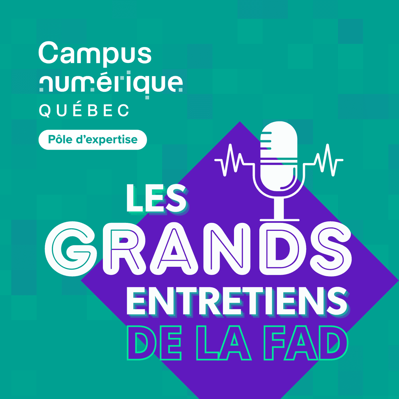 Les grands entretiens de la FAD