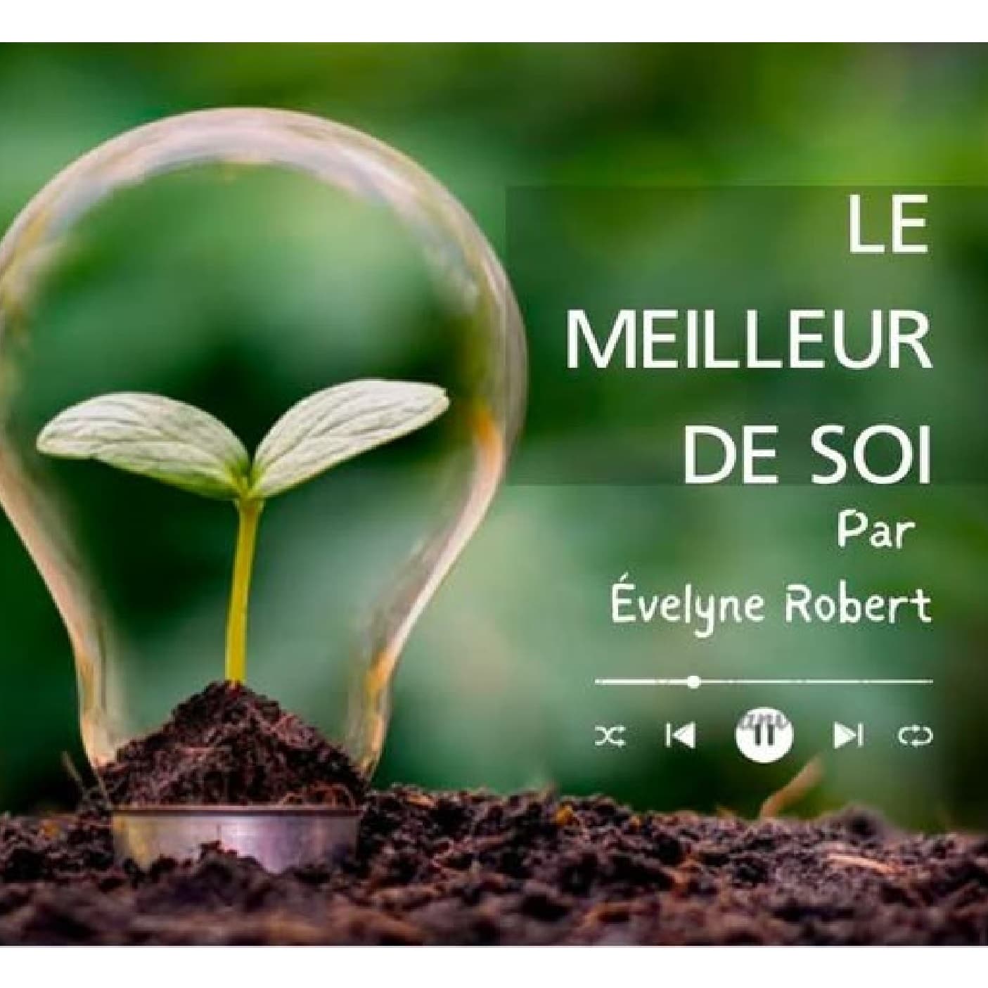 Le Meilleur de Soi par Evelyne Robert