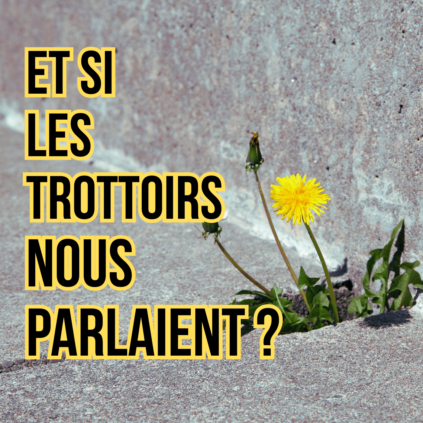 Et si les trottoirs nous parlaient