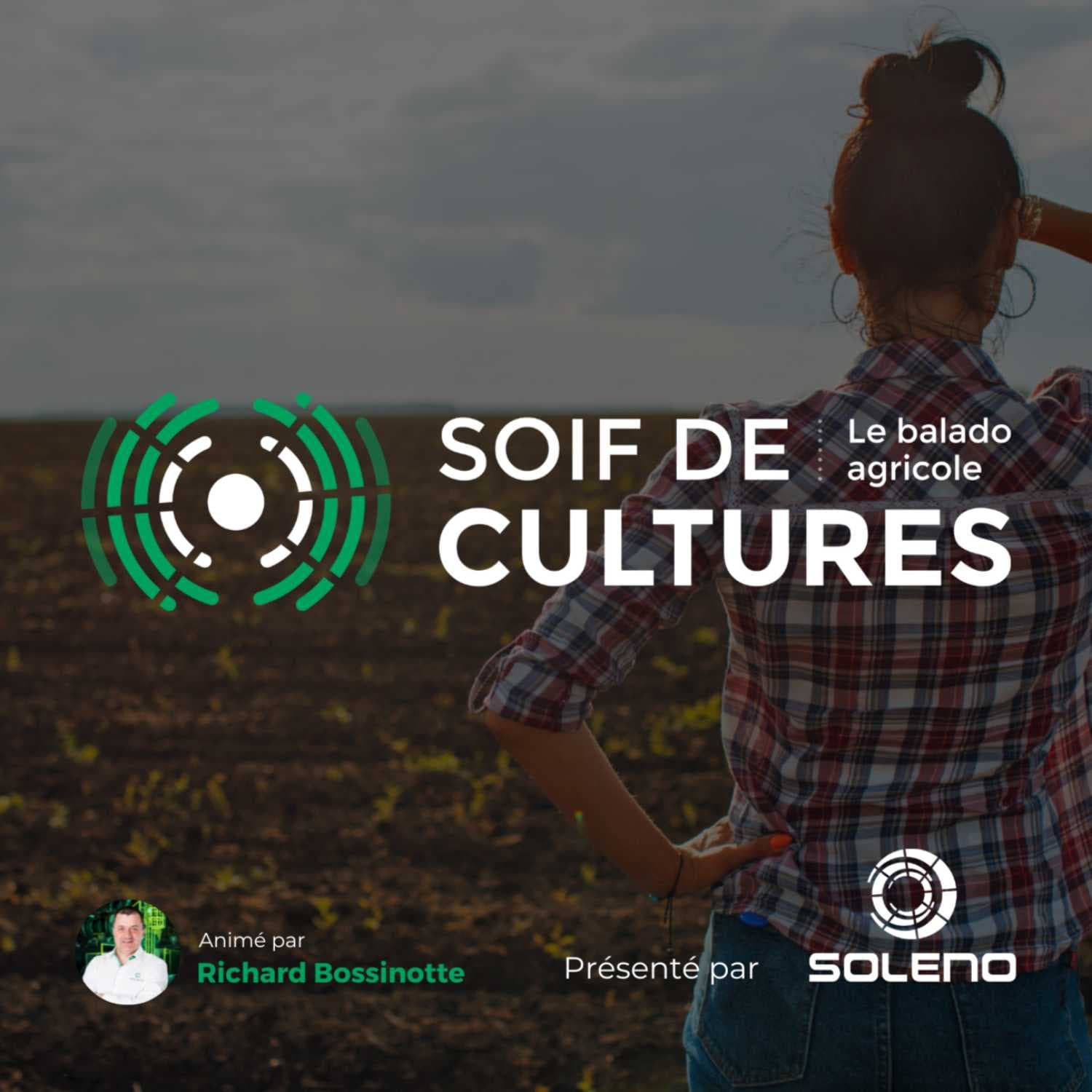Soif de cultures