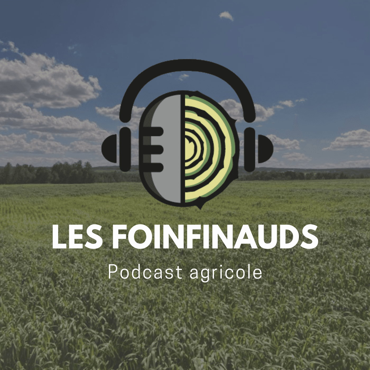Les Foinfinauds
