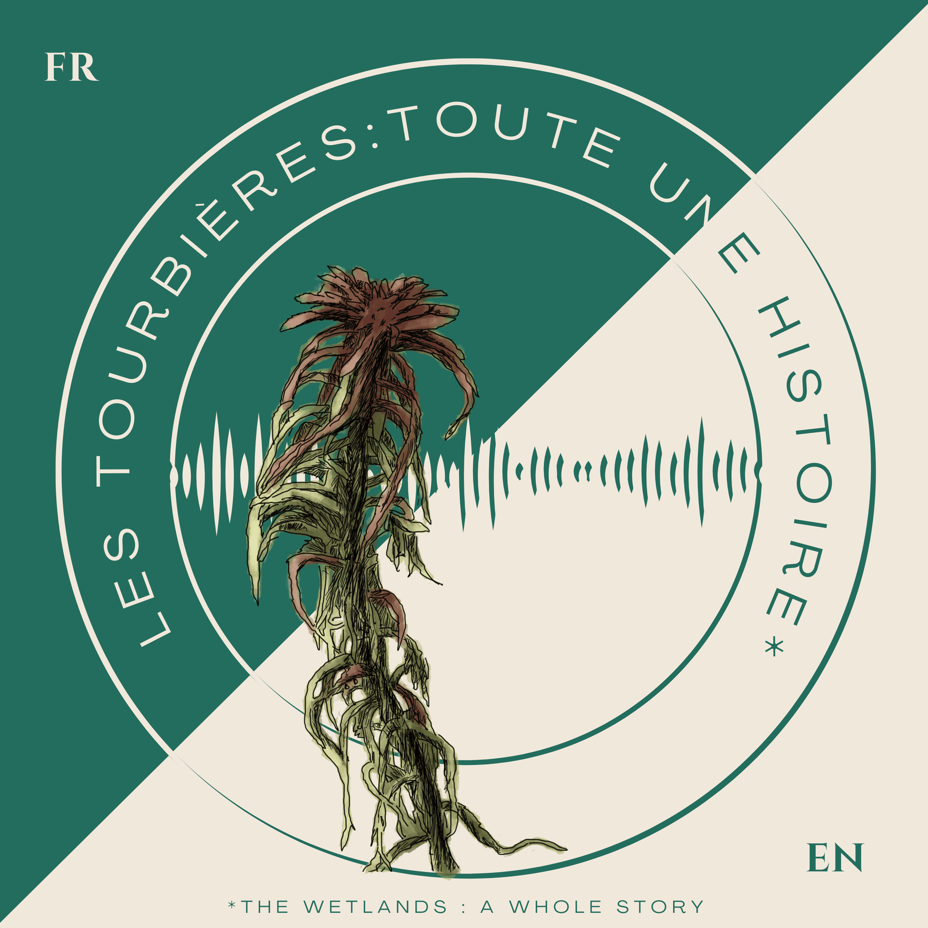 Les tourbières : toute une histoire
