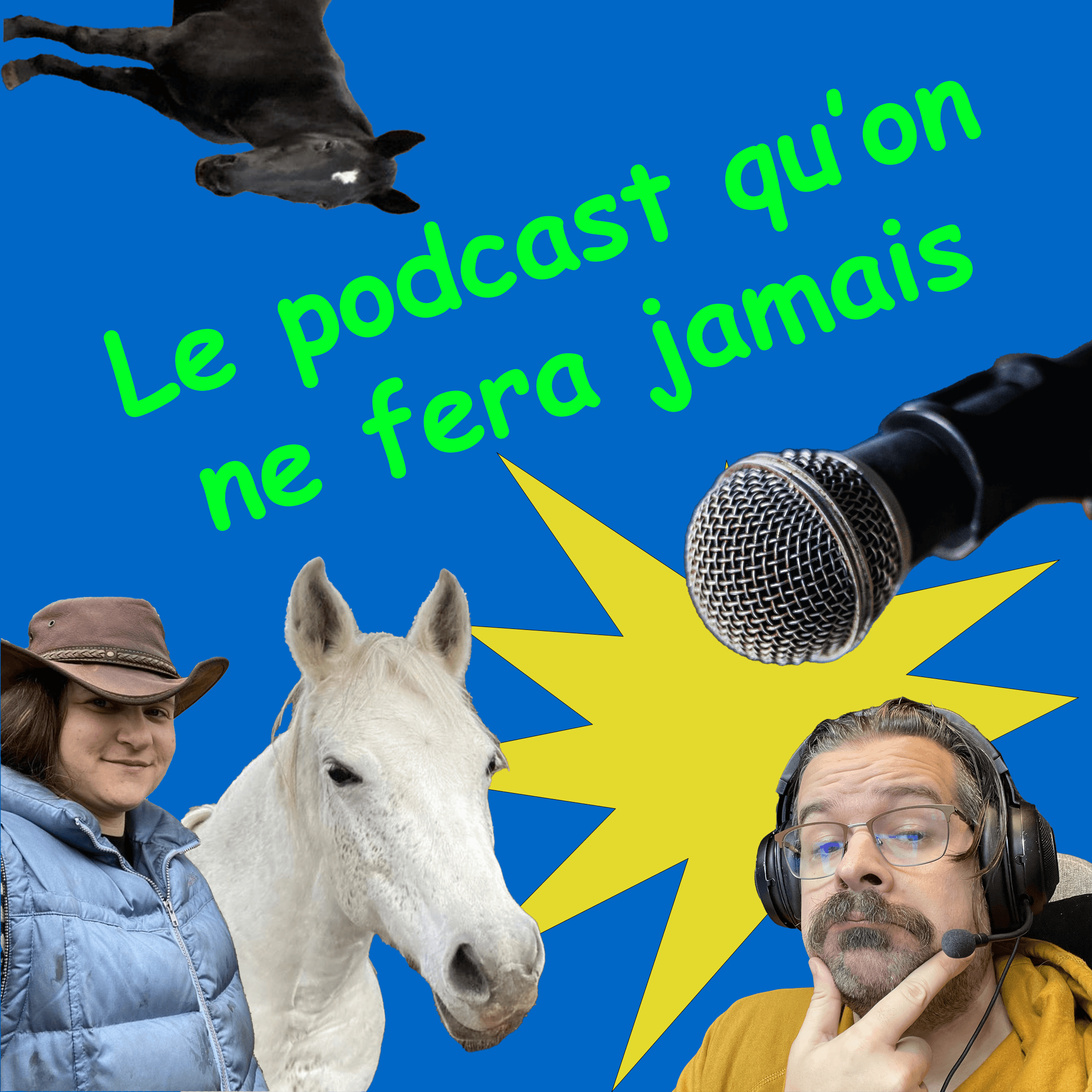 Le podcast qu'on ne fera jamais