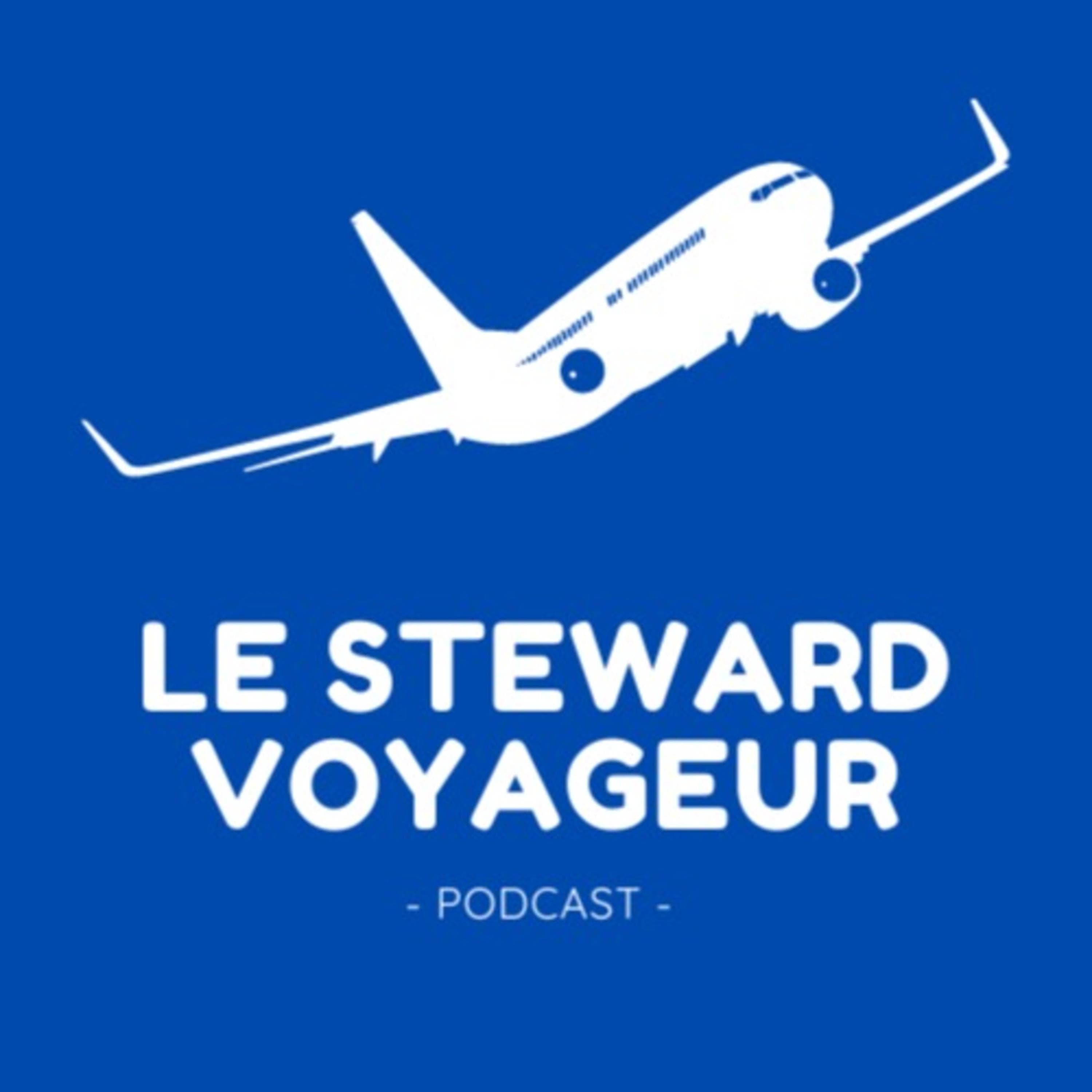 Le Steward Voyageur