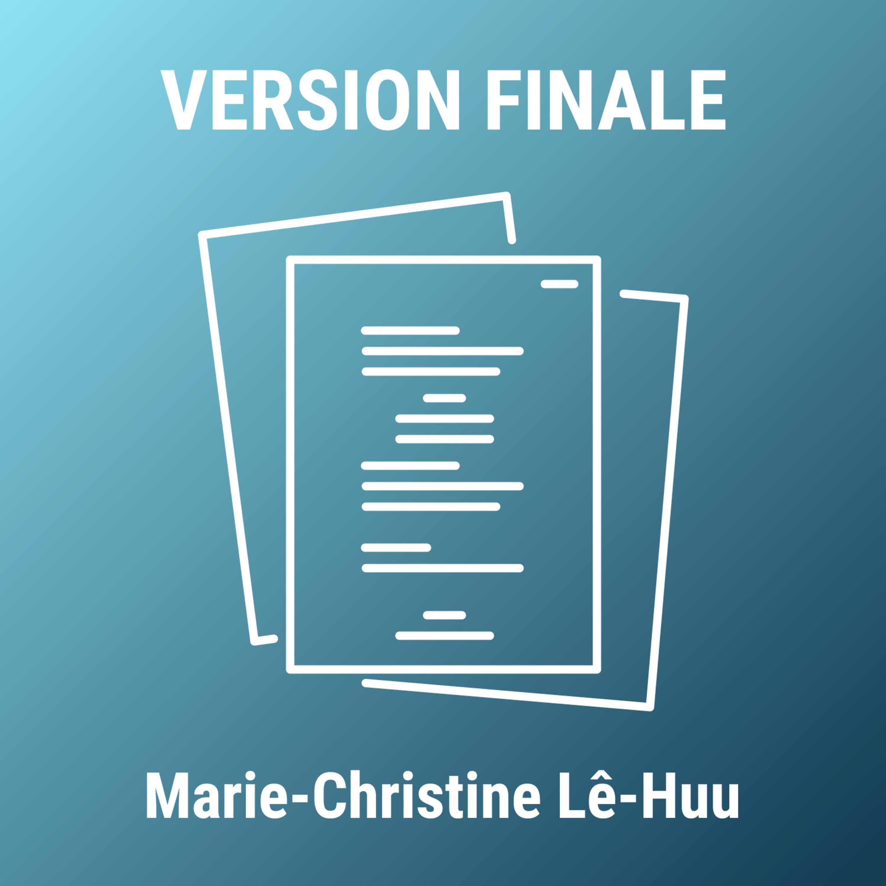 Version Finale (VF)