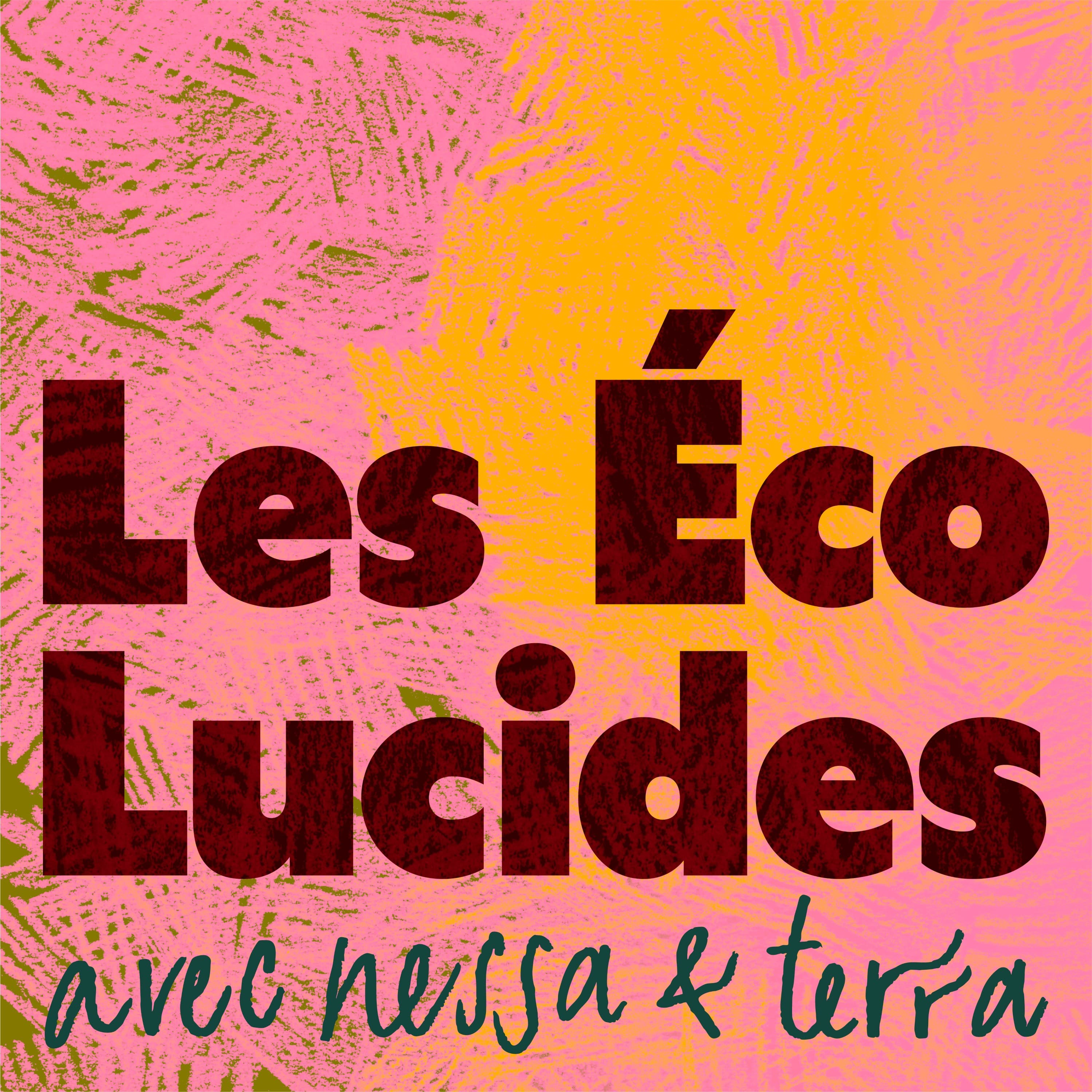 Les éco-lucides