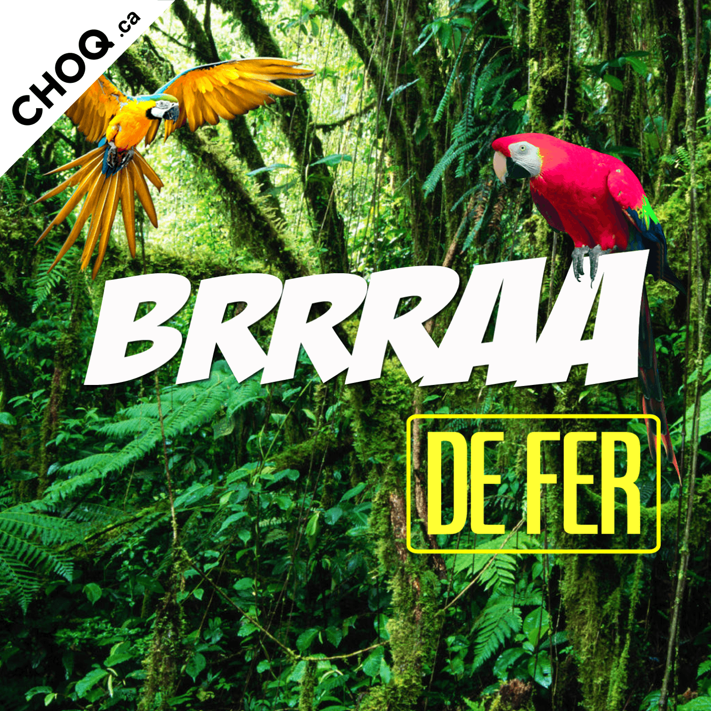 BRRRAA de fer